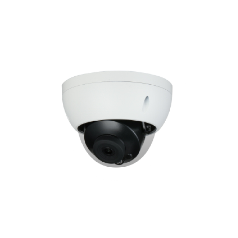 2MP Intelligent Infrared Fixed Focus Riot Hemisphere Network Camera