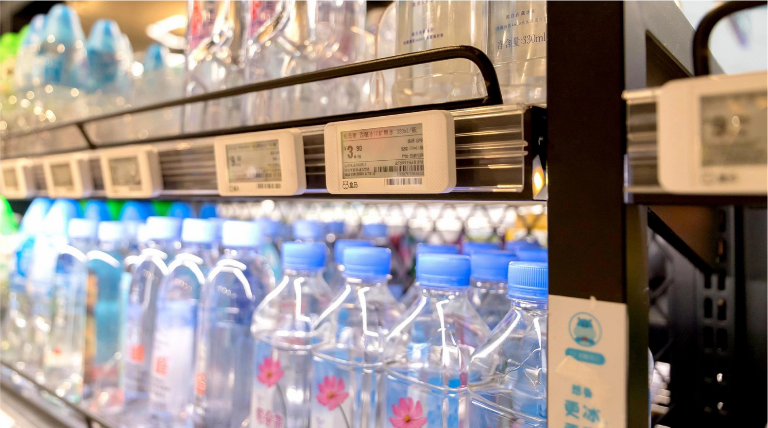 Freezer Area