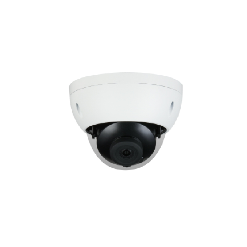 2MP Intelligent Infrared Fixed Focus Riot Hemisphere Network Camera
